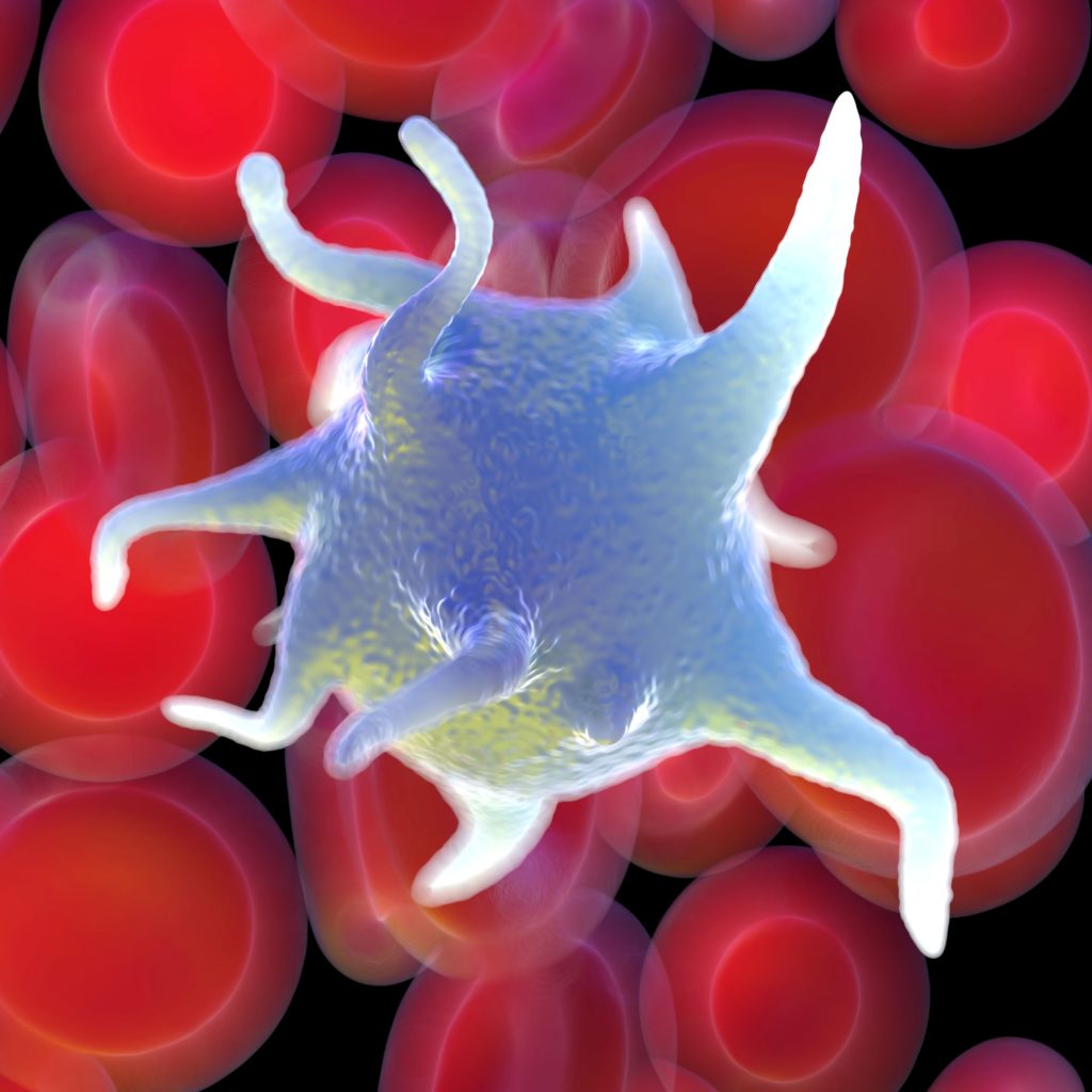 Diagram of a platelet