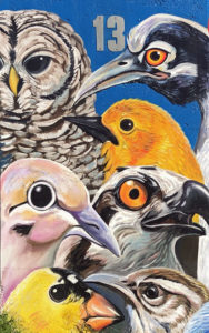 Trinity Trails 13 The Birds - owl