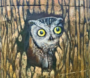 Trinity Trails 21 River Owls mural - owl juvenile